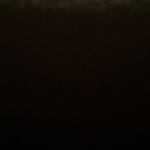 Meet your Posher, Donovan